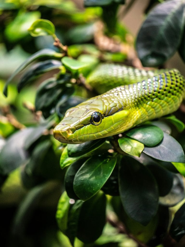Hello World Featured Image